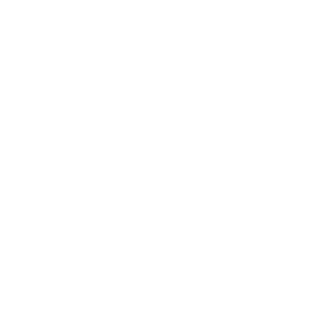 Noi Siamo La Fiorentina